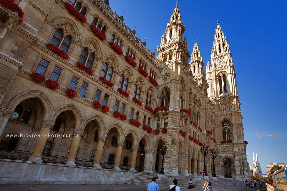 Rathaus Wien (175_MG_6727)